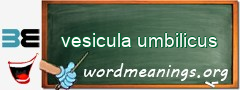WordMeaning blackboard for vesicula umbilicus